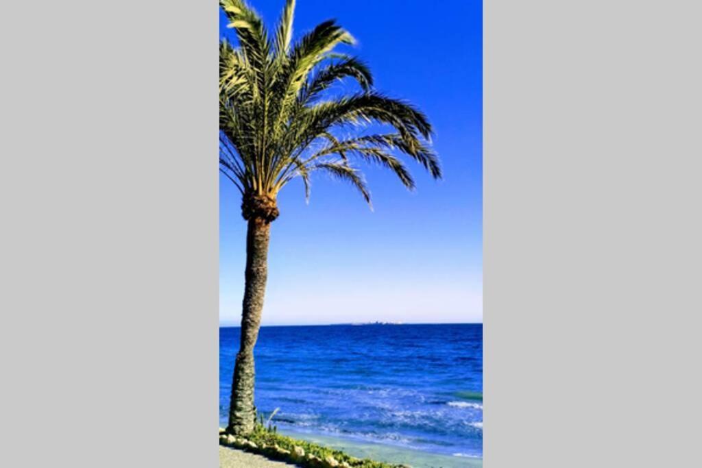 Apartamento Centrico Santa Pola Bagian luar foto